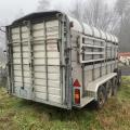 Nugent 14ft Livestock Trailer