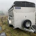 Indespension 14ft Livestock Trailer
