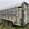 Nugent 14ft Livestock Trailer