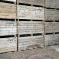 Potato Boxes
